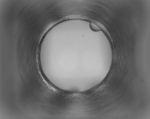X0000060240847200511241331