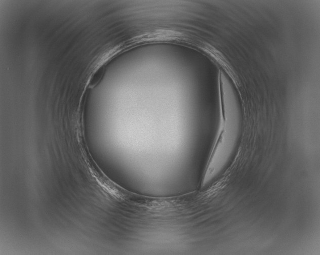 X0000060240850200511241331
