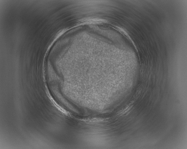X0000060240851200511241331