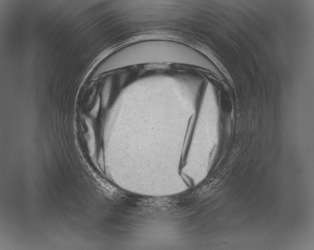 X0000060240853200511241331