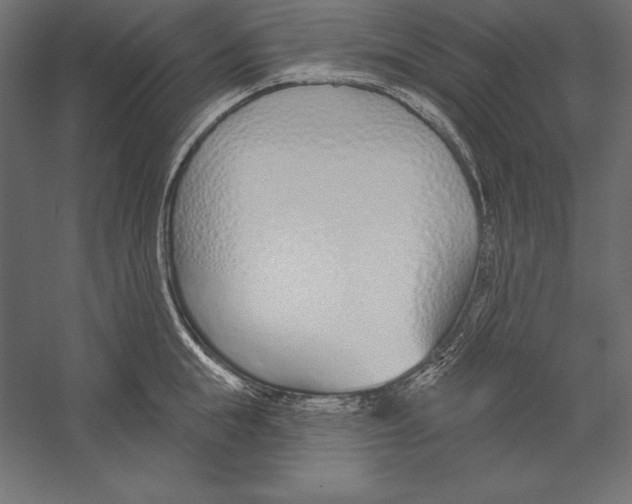X0000060240855200511241331
