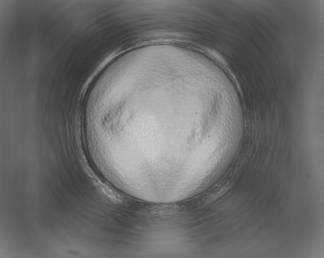 X0000060240859200511241332