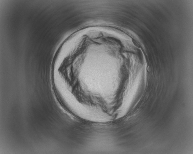 X0000060240863200511241332