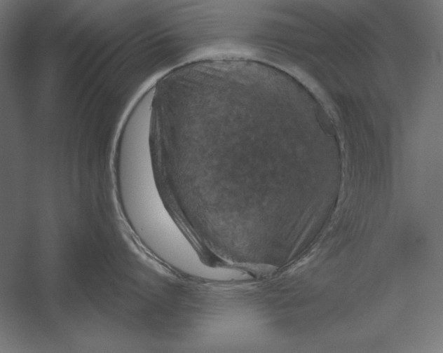 X0000060240864200511241332