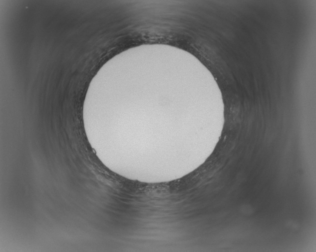X0000060240865200511241331