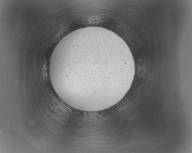 X0000060240866200511241331