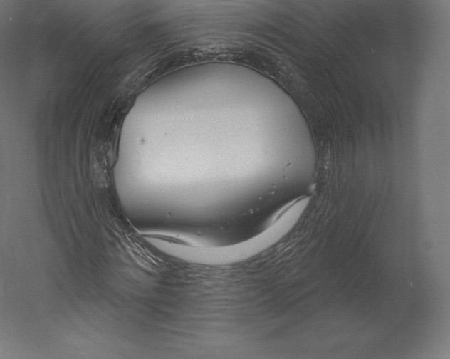 X0000060240868200511241331