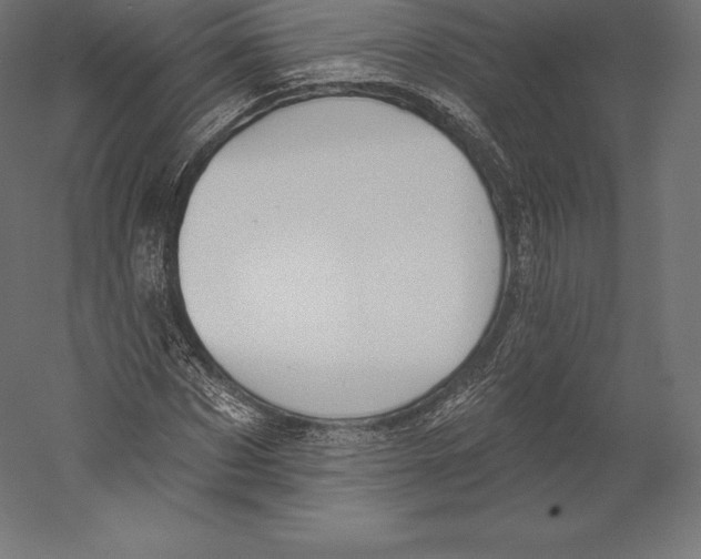 X0000060240873200511241331