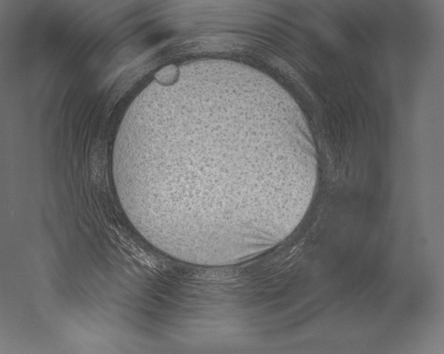 X0000060240874200511241331