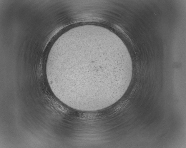 X0000060240875200511241331