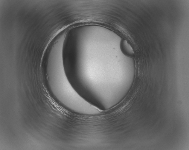 X0000060240876200511241331