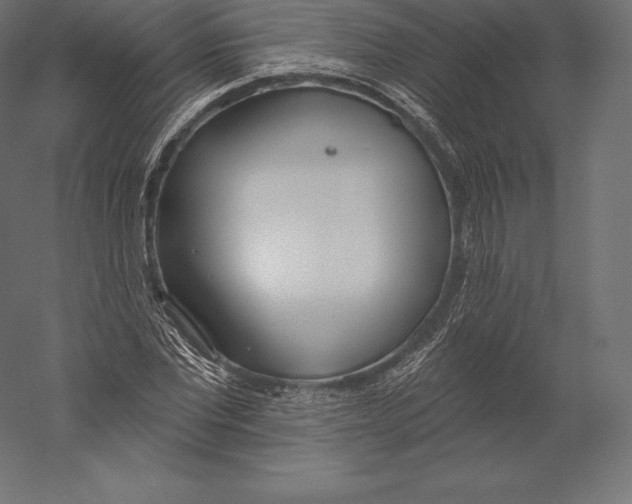 X0000060240877200511241331