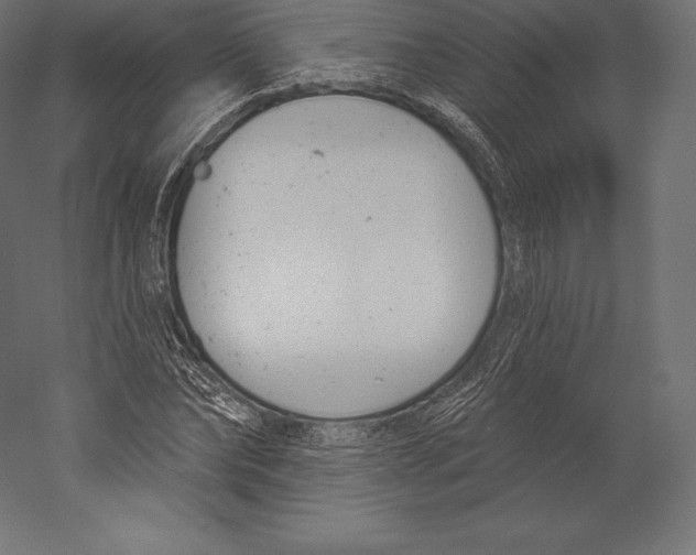 X0000060240878200511241331