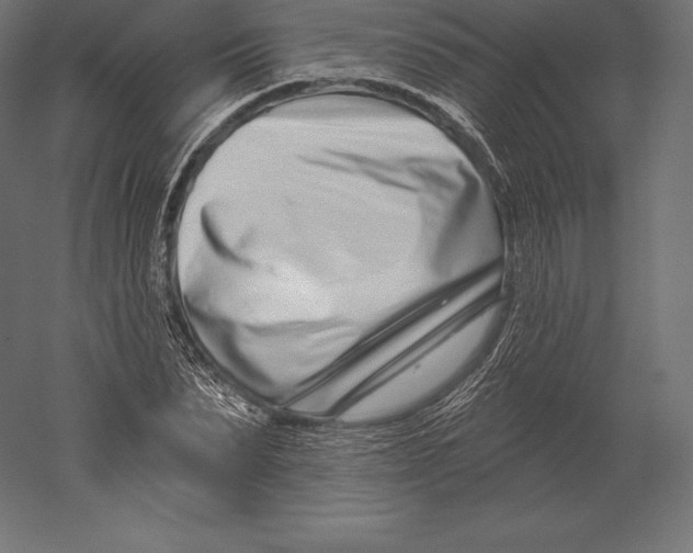 X0000060240879200511241331