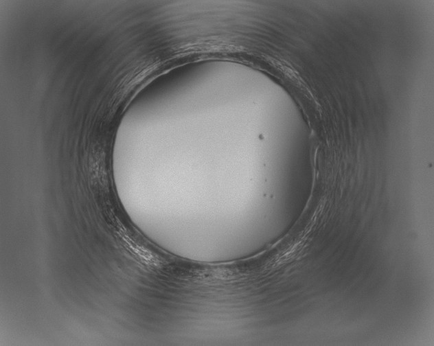X0000060240881200511241331