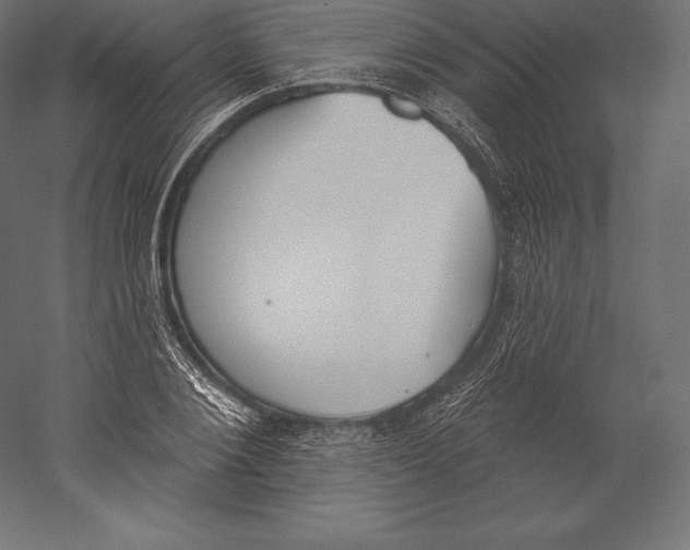 X0000060240884200511241330