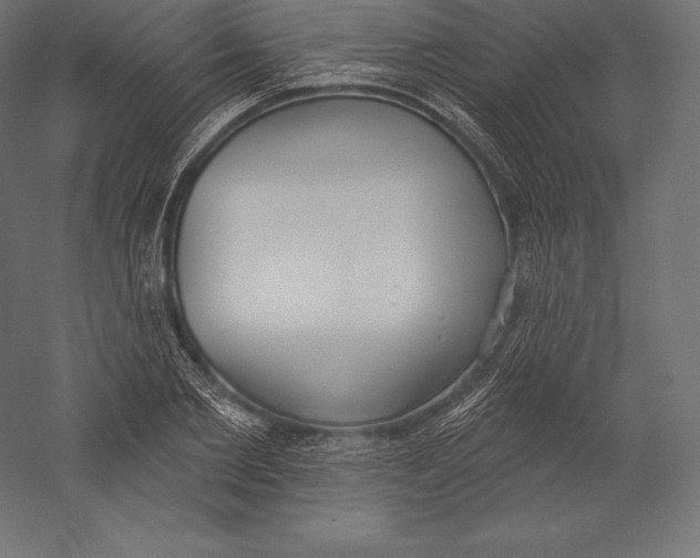 X0000060240885200511241330