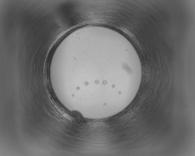 X0000060240886200511241330