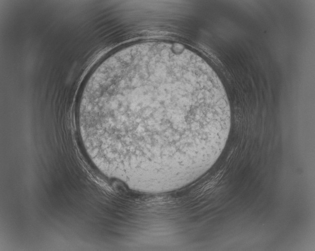 X0000060240891200511241330