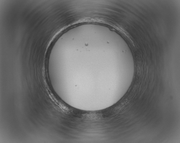 X0000060240896200511241330