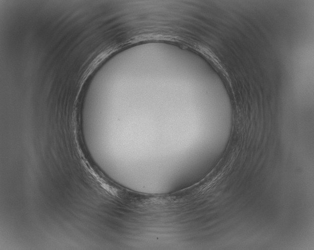 X0000060240898200511241330