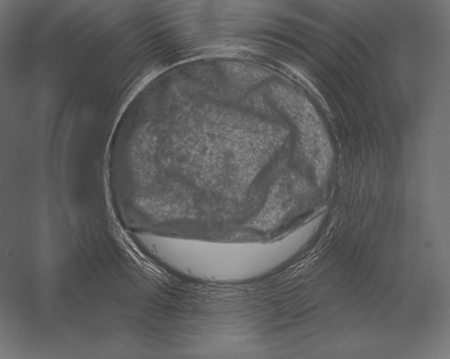 X0000060240899200511241330