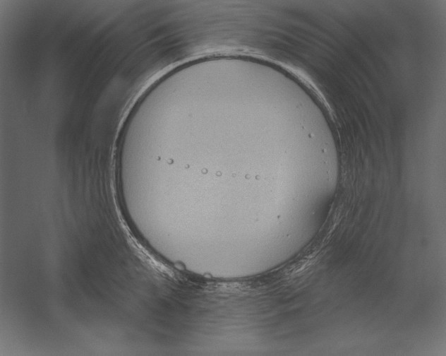 X0000060240903200511241330
