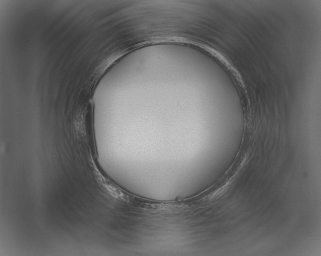 X0000060240905200511241330