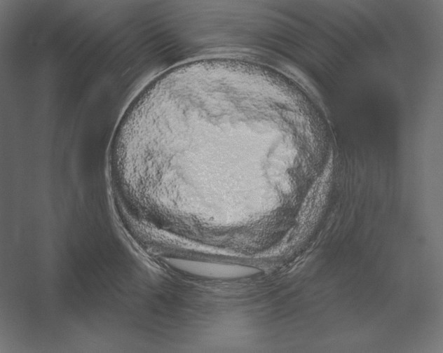 X0000060240907200511241330