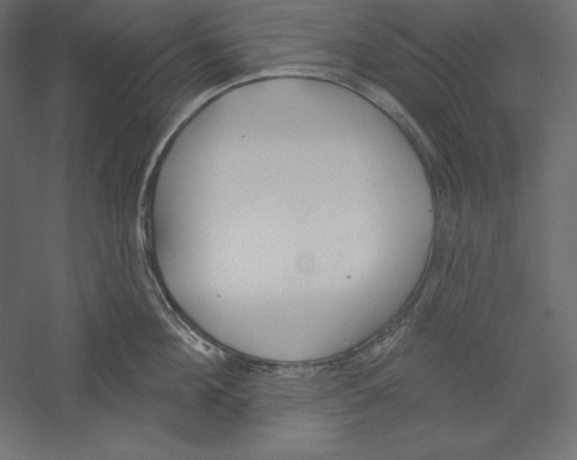 X0000060240908200511241330