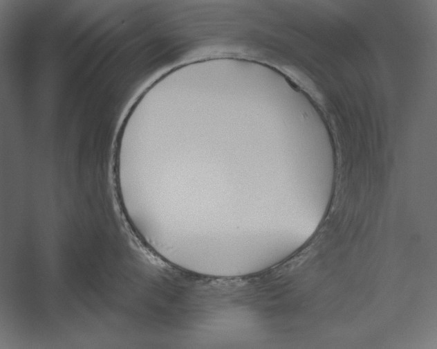 X0000060240912200511241330