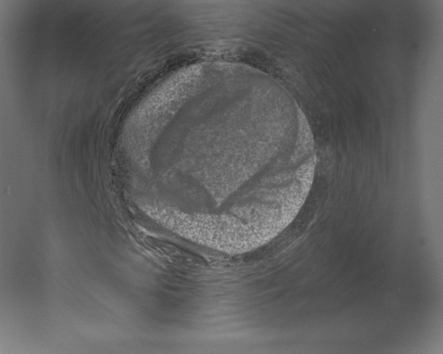 X0000060240913200511241329
