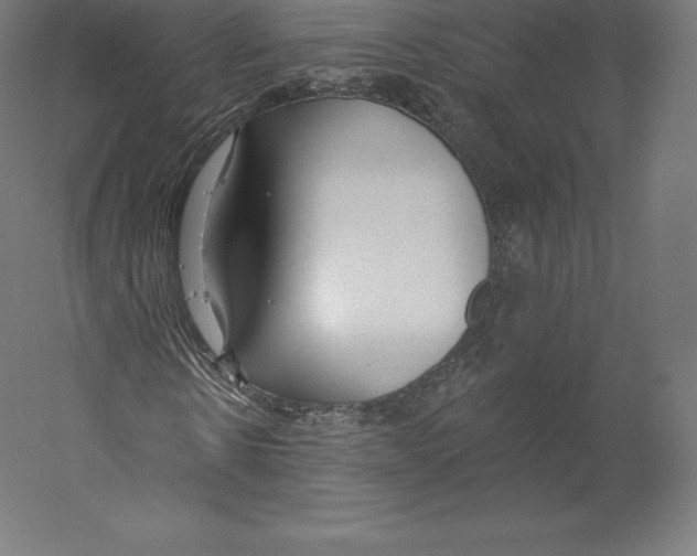 X0000060240914200511241329