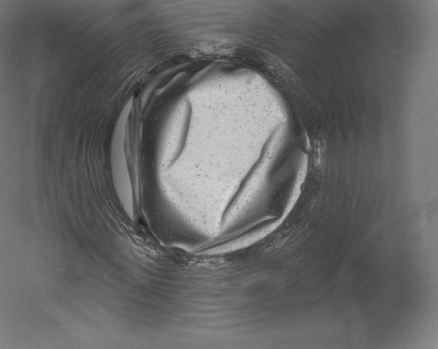 X0000060240915200511241329