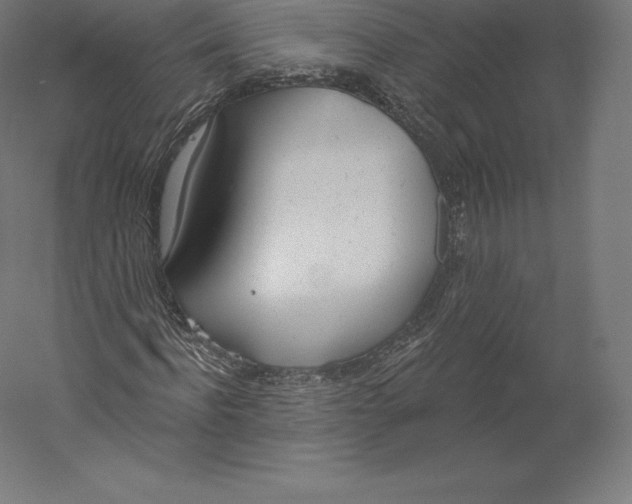 X0000060240916200511241329