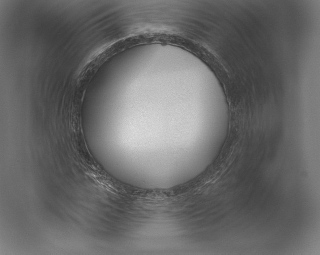 X0000060240919200511241329