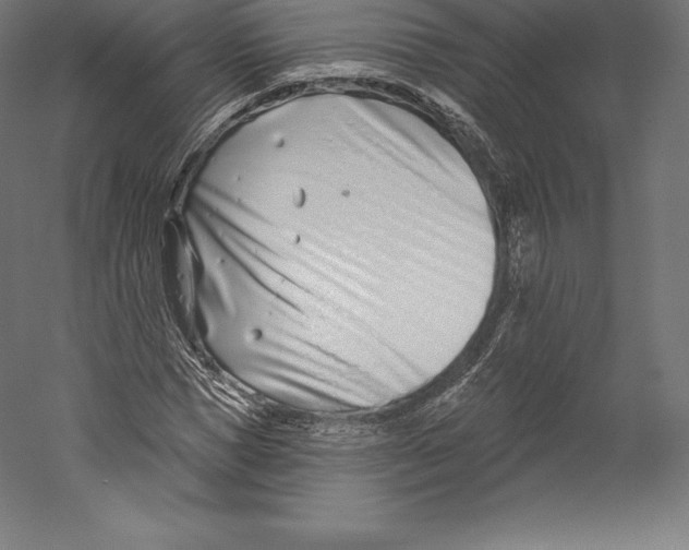 X0000060240921200511241329