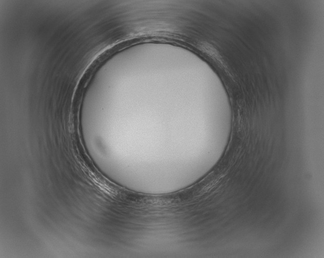 X0000060240924200511241329