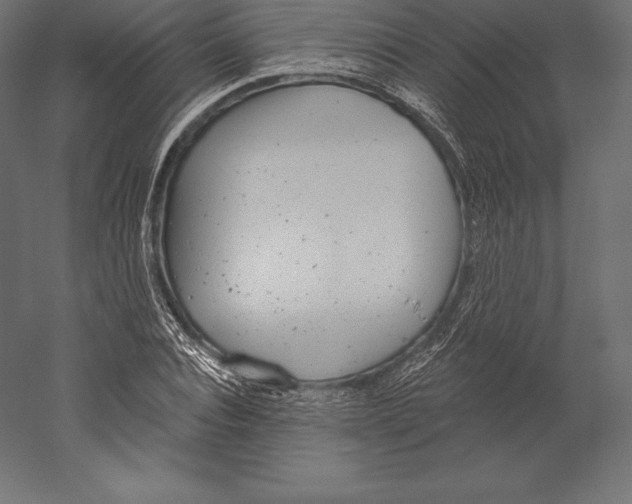 X0000060240928200511241329