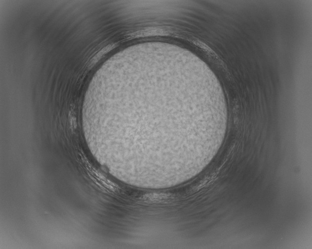 X0000060240929200511241329
