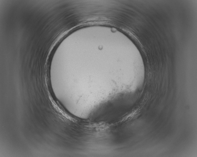 X0000060240941200511241330