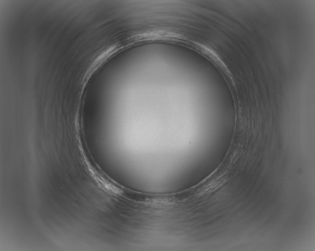 X0000060240946200511241330