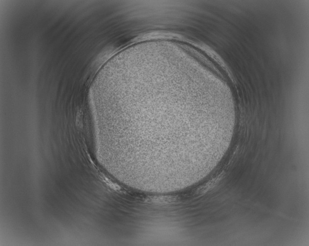 X0000060240953200511241330