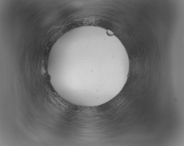 X0000060240962200511241329