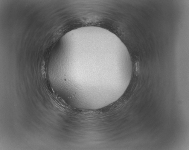 X0000060240963200511241329