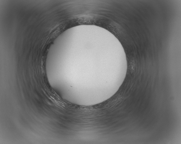 X0000060240964200511241329