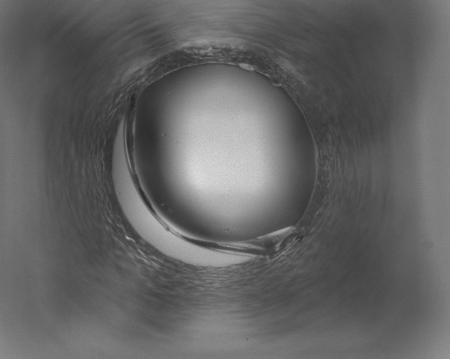 X0000060240965200511241329