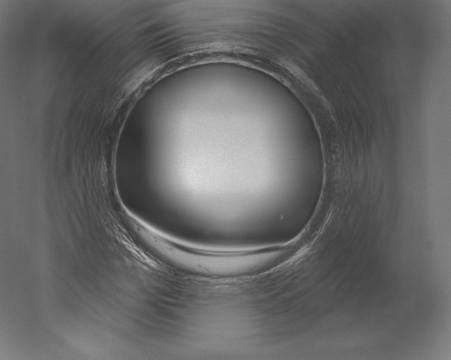 X0000060240969200511241329