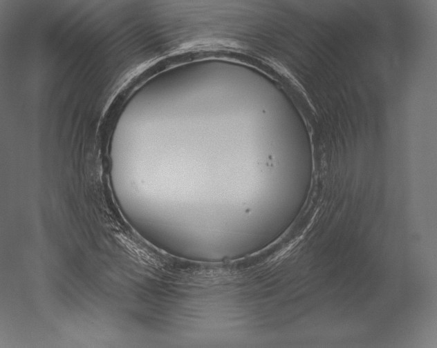 X0000060240973200511241329