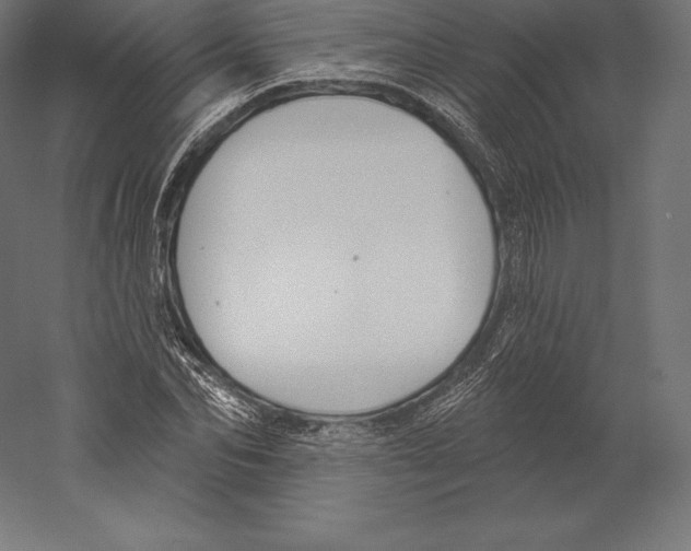 X0000060240974200511241329